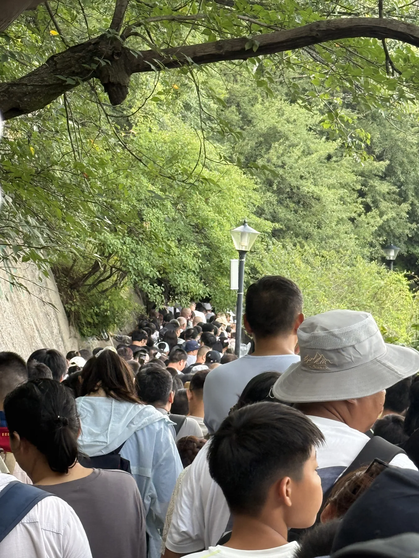 Long North Peak cable-car queue through the wooded trail