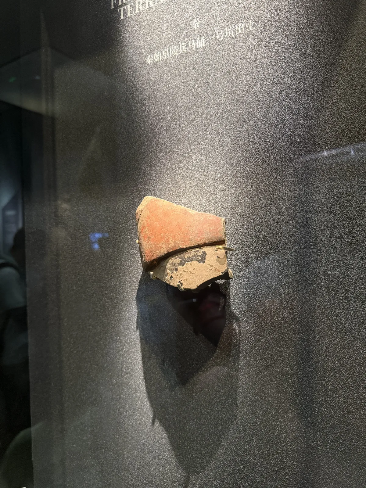 Display showing the original colors of the Terracotta Army